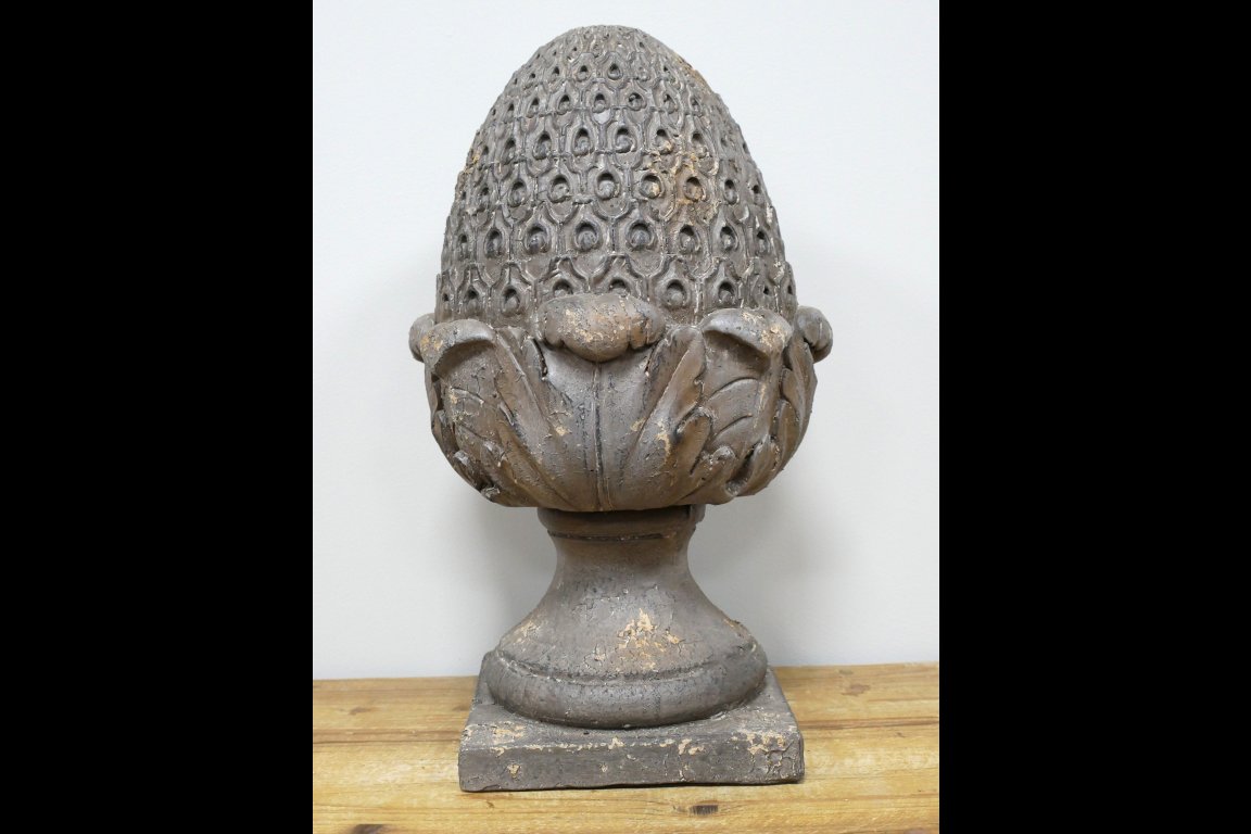 Acorn