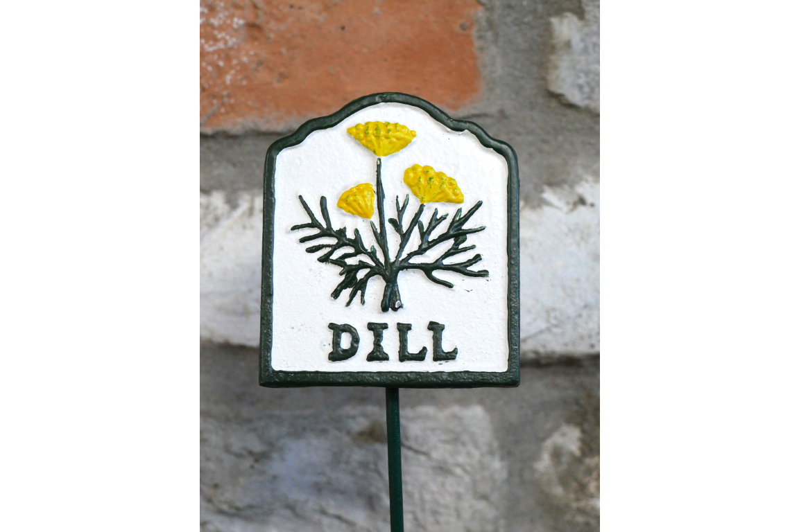 Herb Sign (Dill)