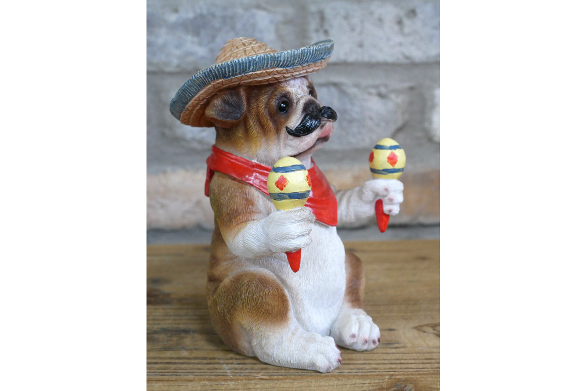 Mexican Bulldog