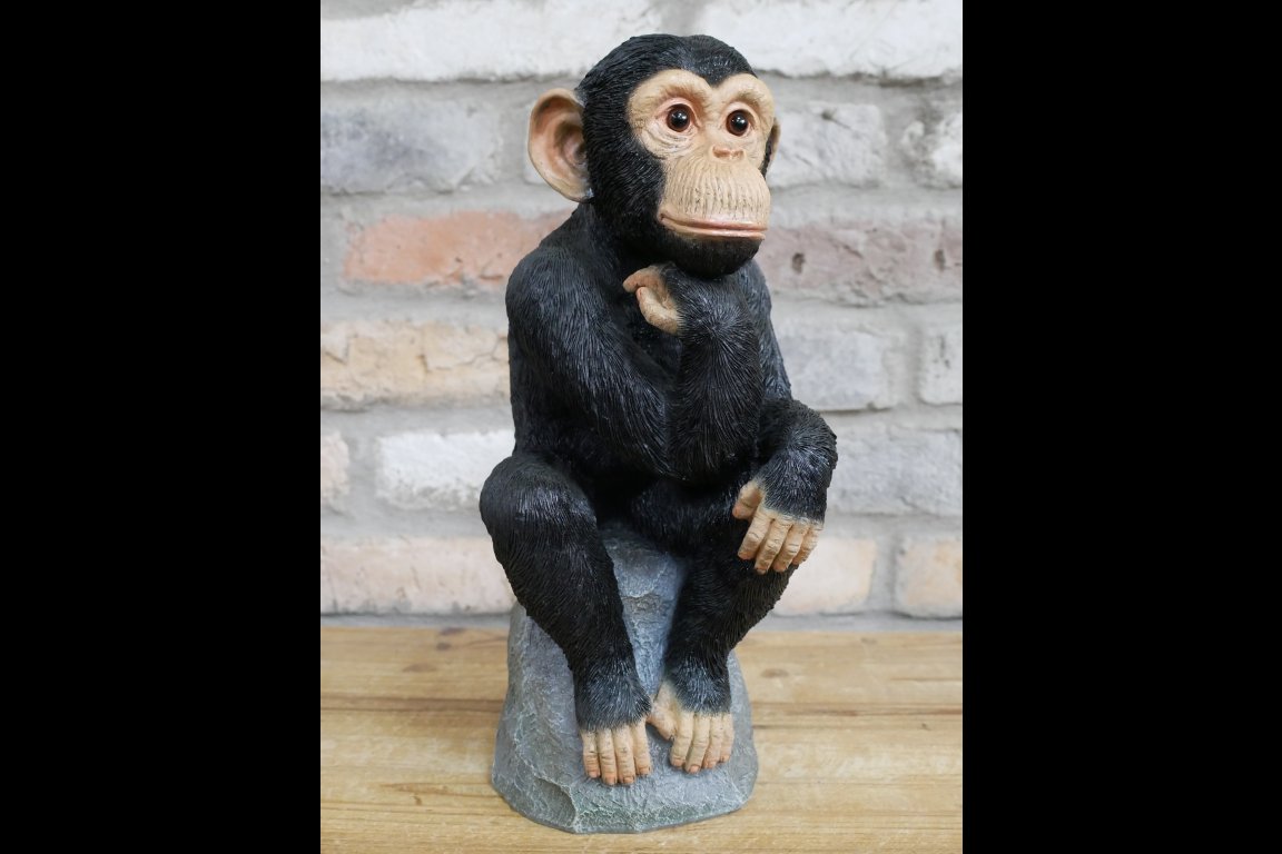 Monkey Thinking