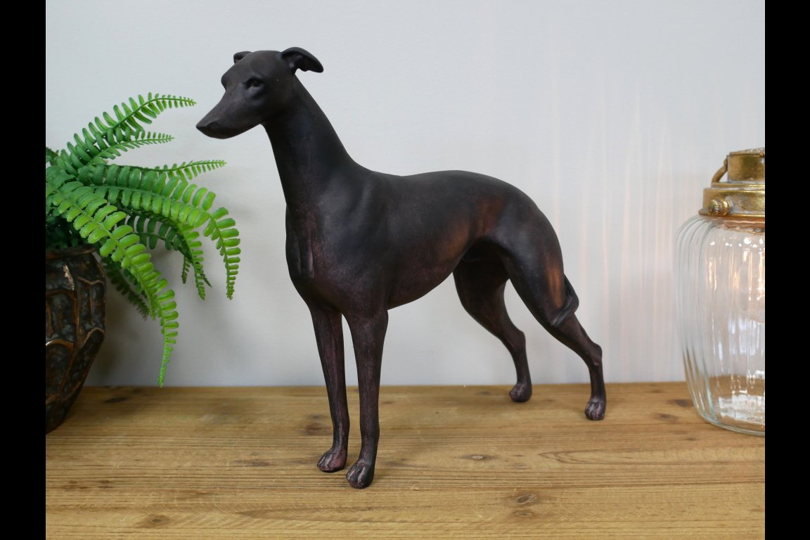 Standing Dog