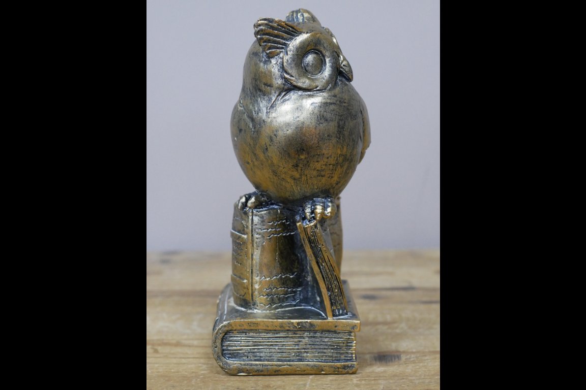 Owl Stood On Books