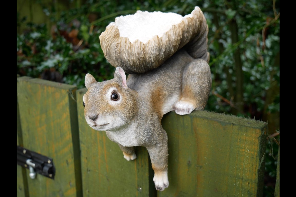 Squirrel Feeder