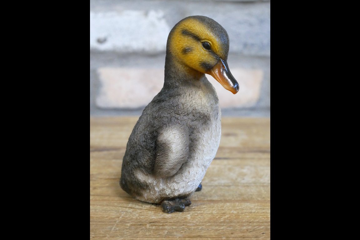 Set Of 3 Ducks