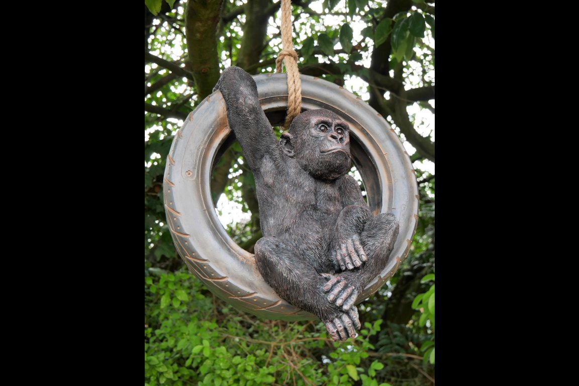 Gorilla On Tyre Swing
