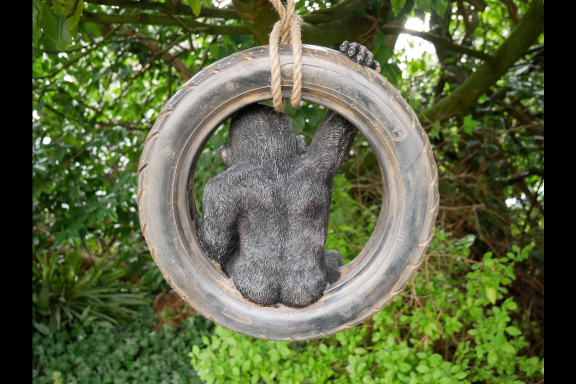Gorilla On Tyre Swing