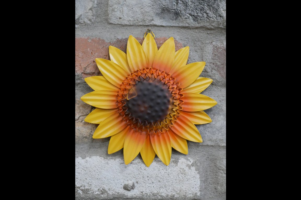 Sunflower Head Wall Decoration - M