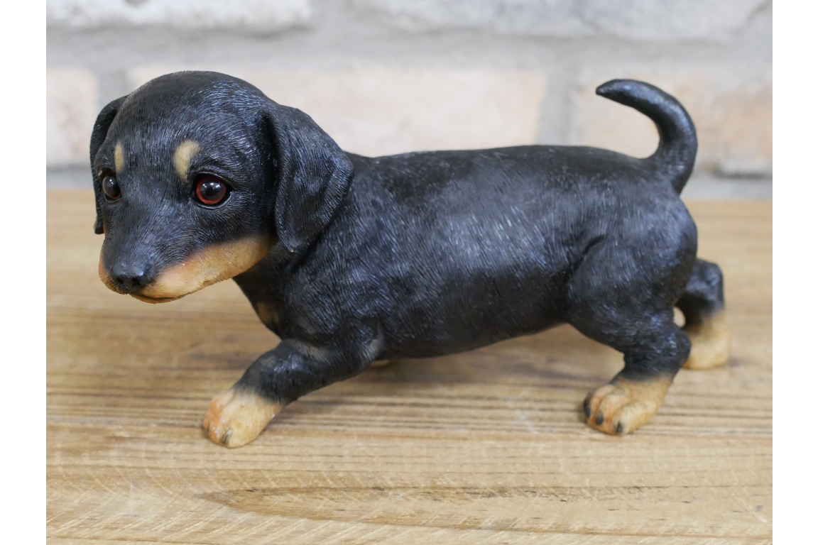 Small Dog