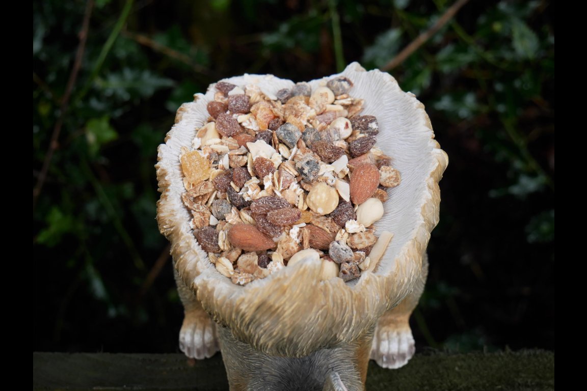 Squirrel Feeder