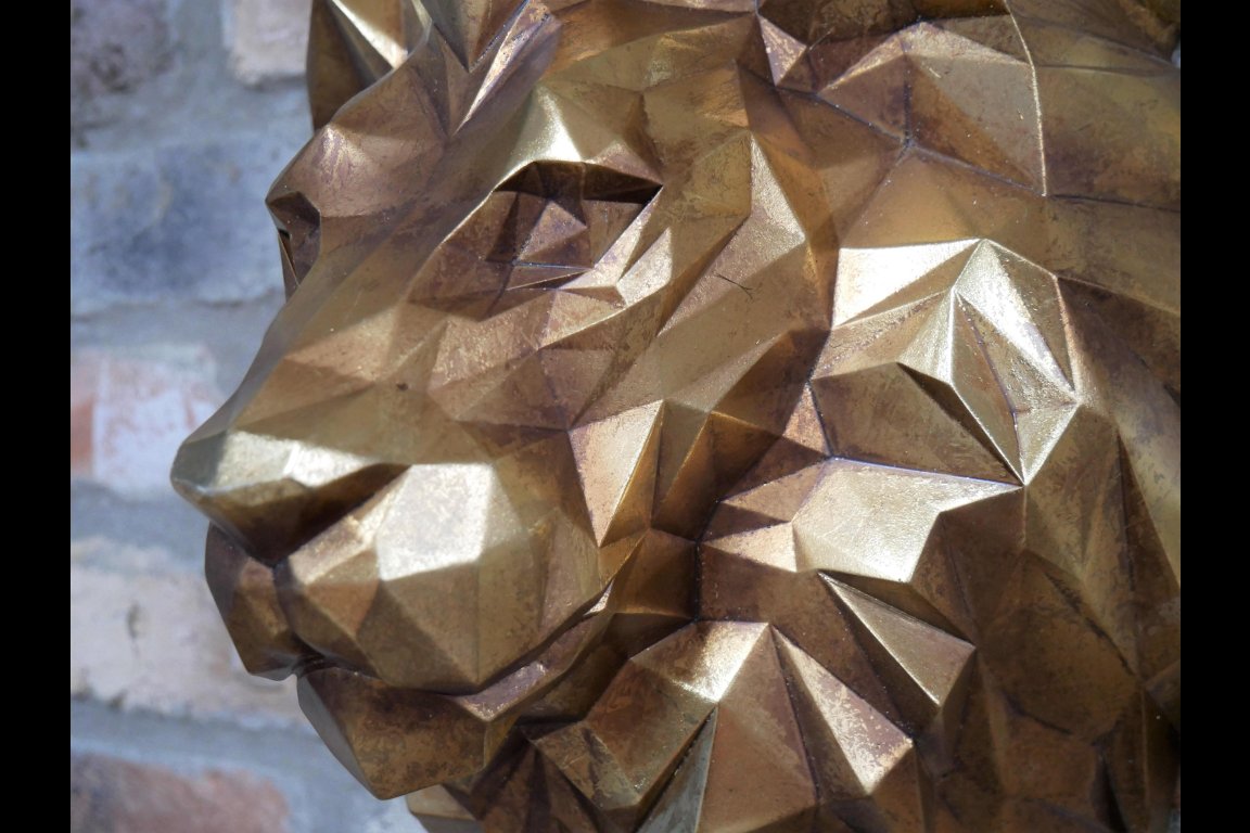 Geometric Lion Head