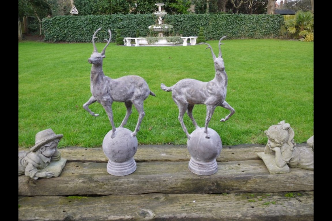 Pair of Stag's