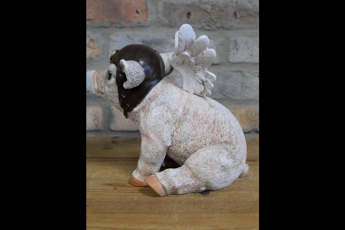 Flying Pig