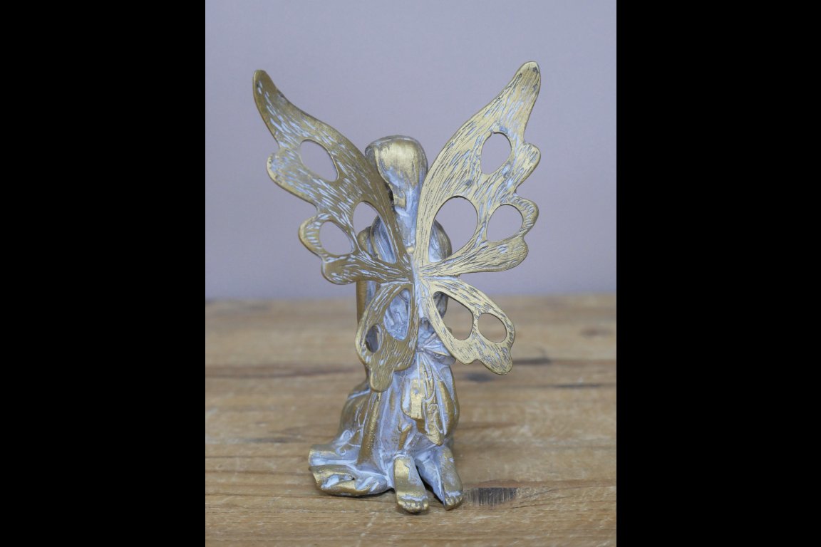 Fairy