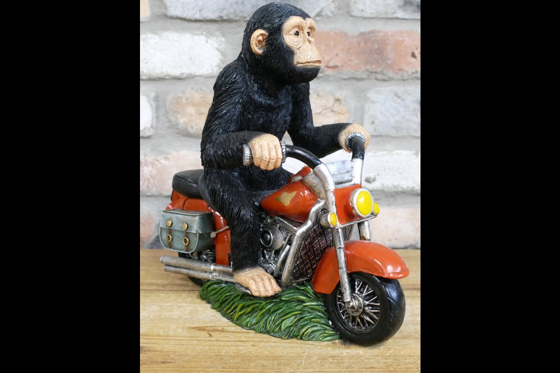 Monkey On Motorbike