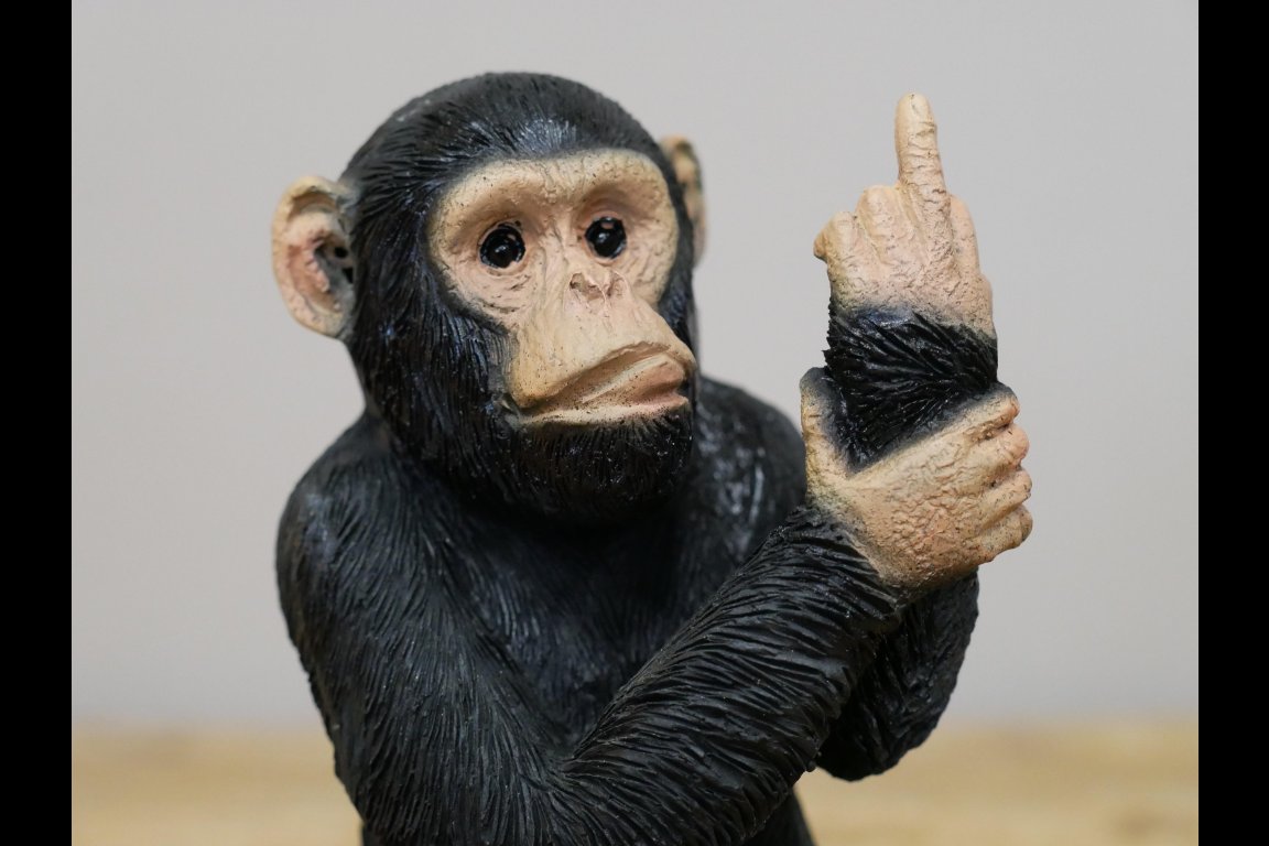 Up Yours Monkey - Small