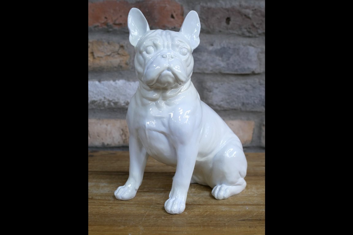 White Dog (Frenchie)