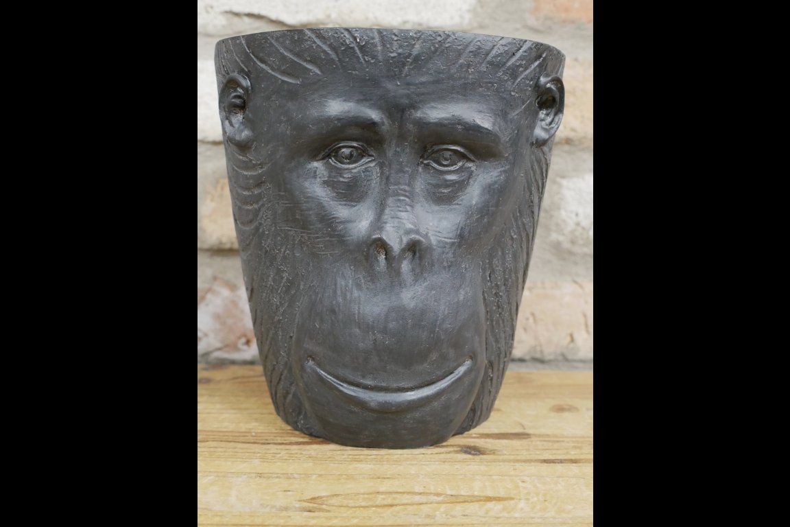 Monkey Head Planter