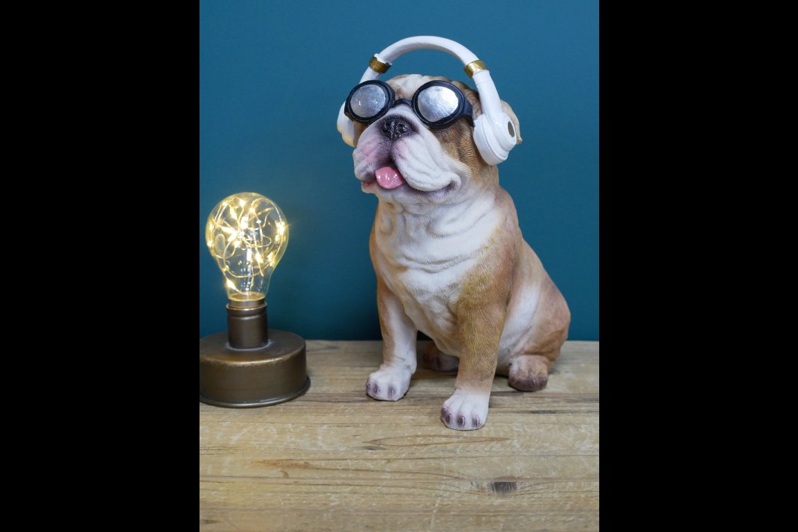 Dog With Headphones