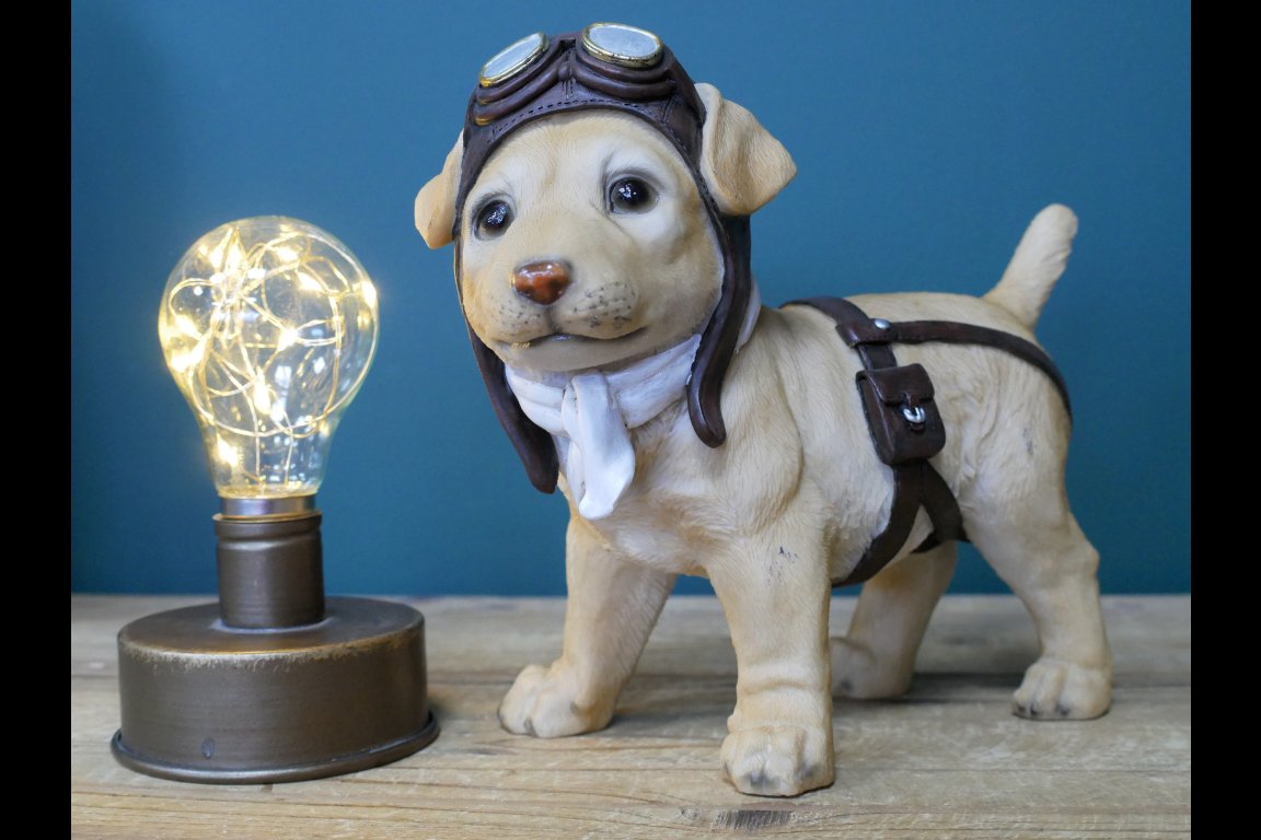 Pilot Dog