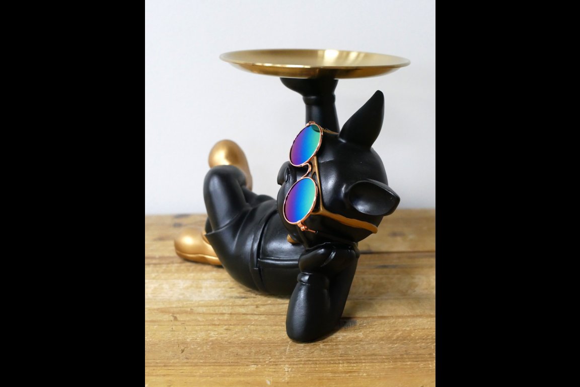 Dog With Tray
