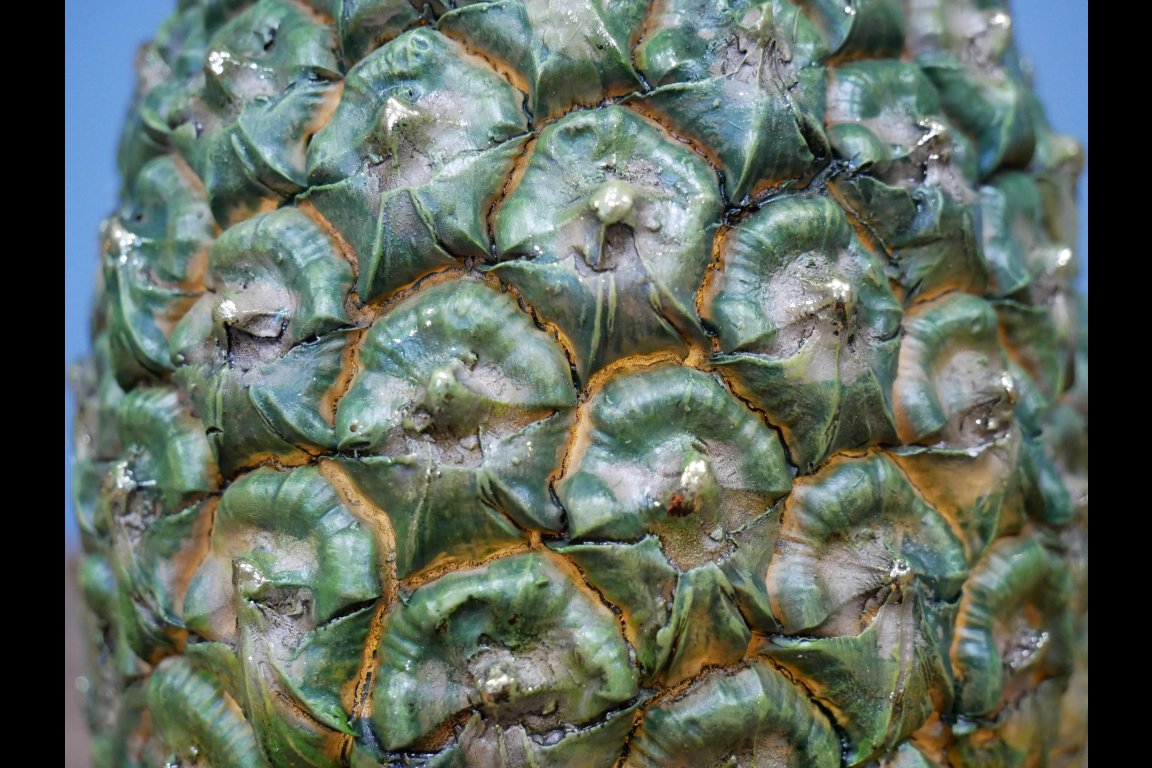 Pineapple With Shades