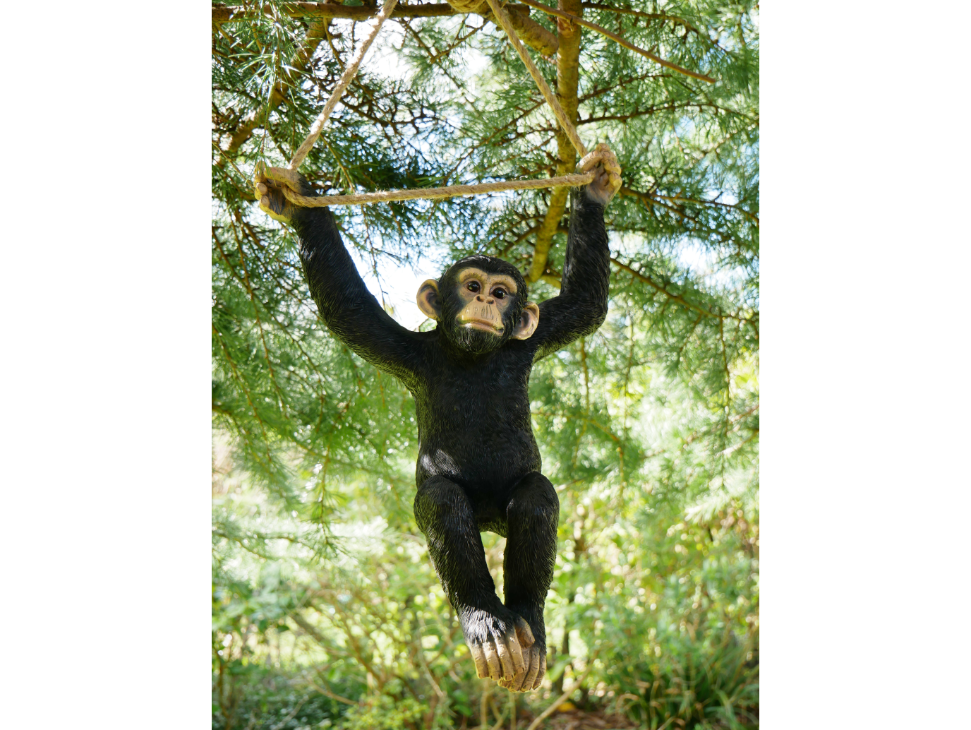 Climbing Monkey