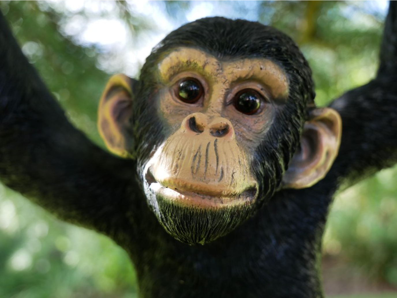 Climbing Monkey