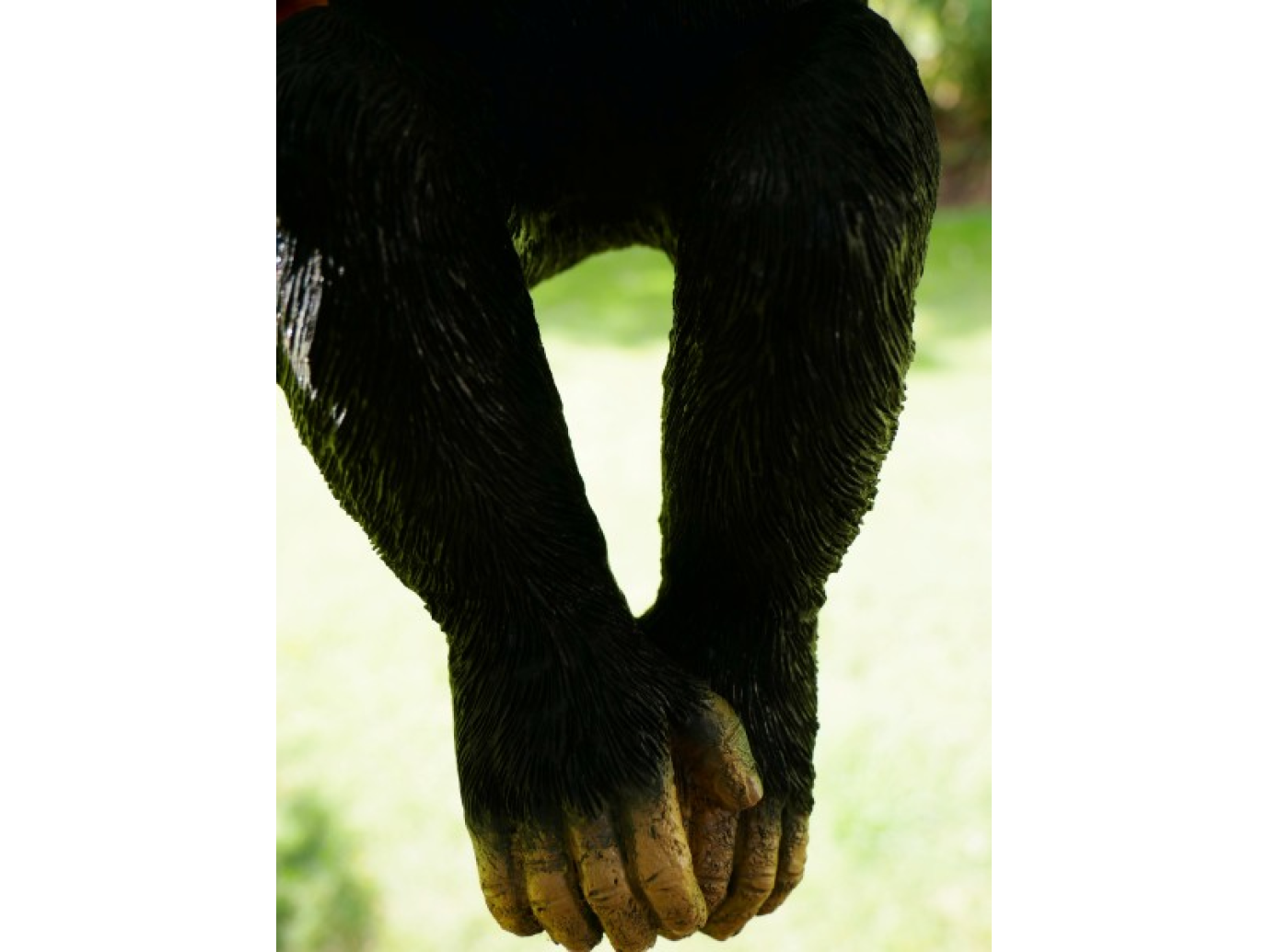 Climbing Monkey