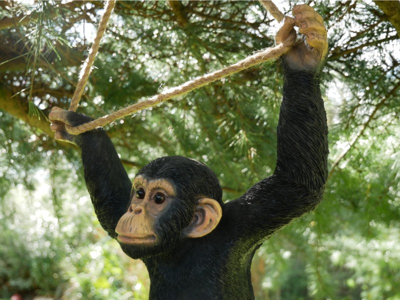 Climbing Monkey