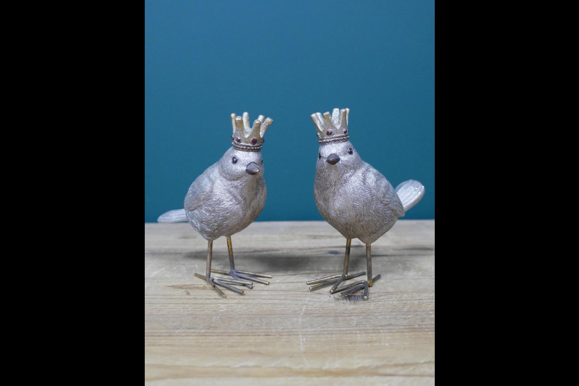 Set Of Two Birds