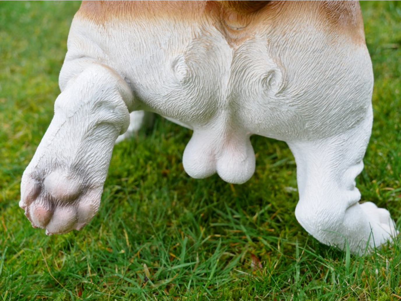Bulldog
