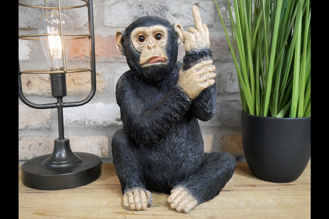 Up Yours Monkey