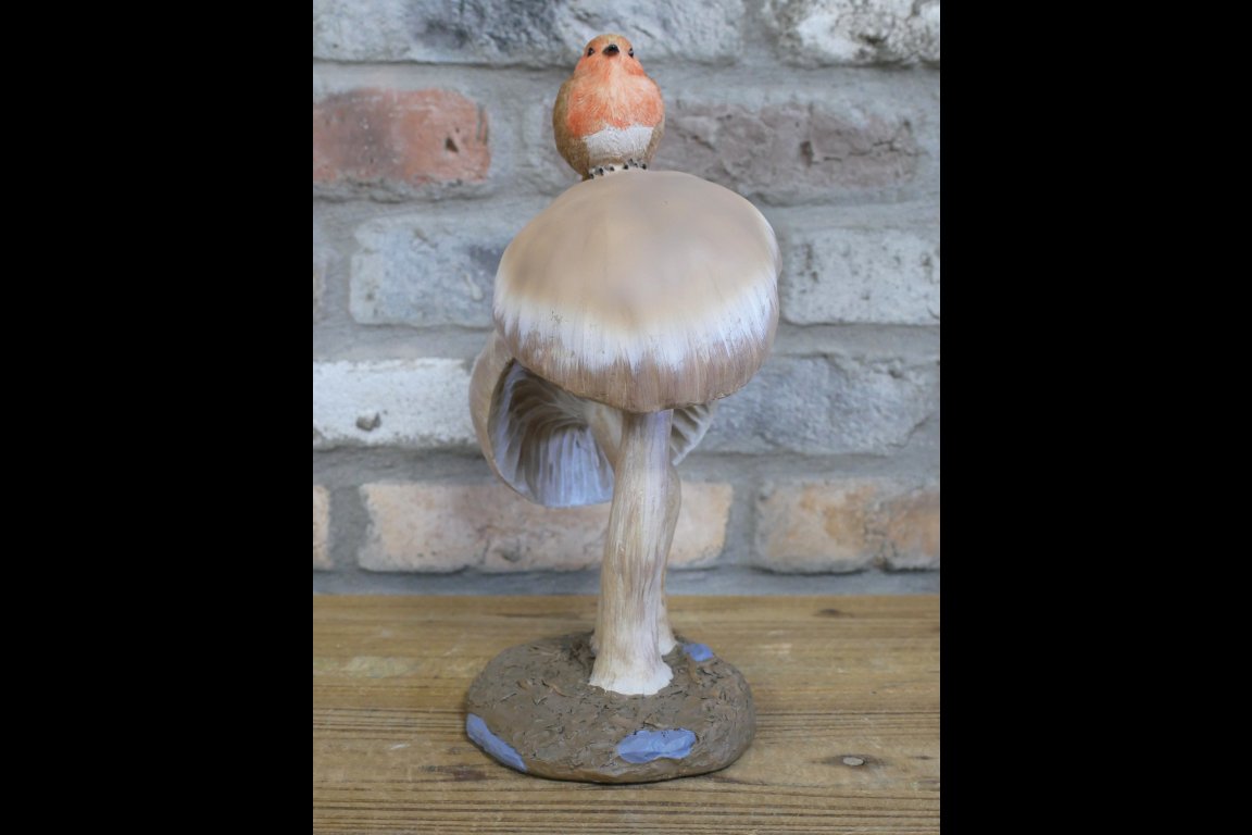 Robin On Top Of Mushrooms