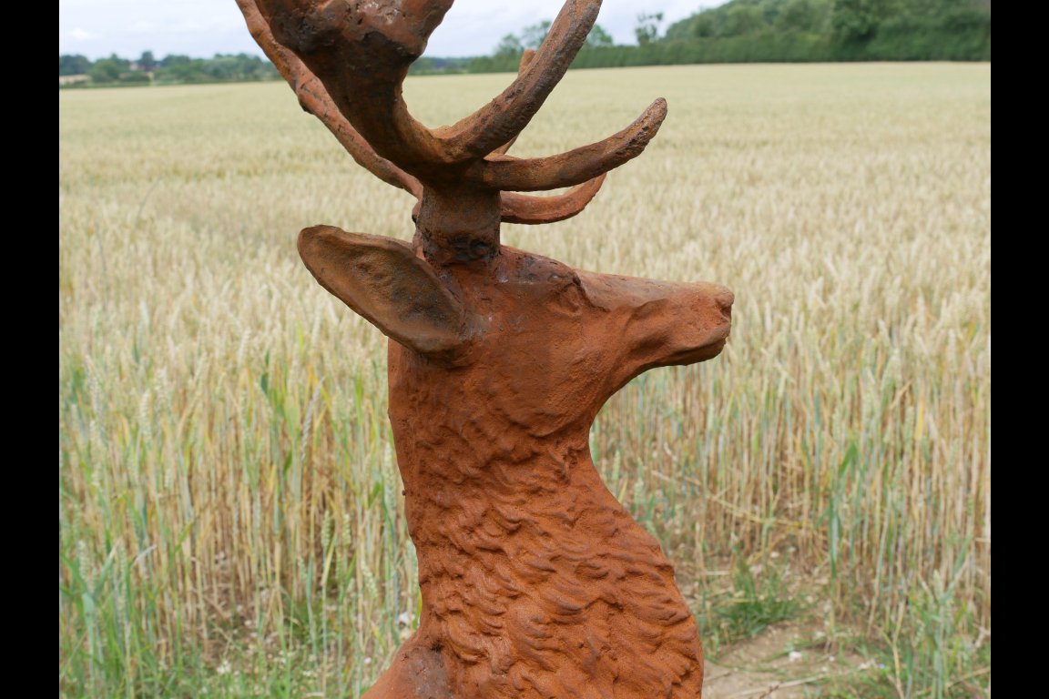 Rusty Stag