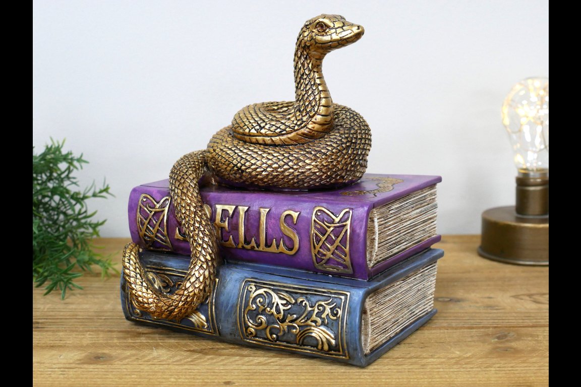 Snake On Spell Books