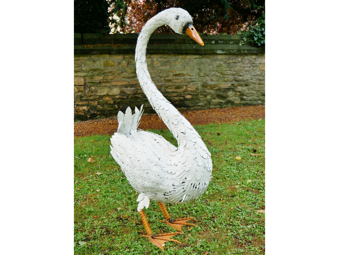 Swan