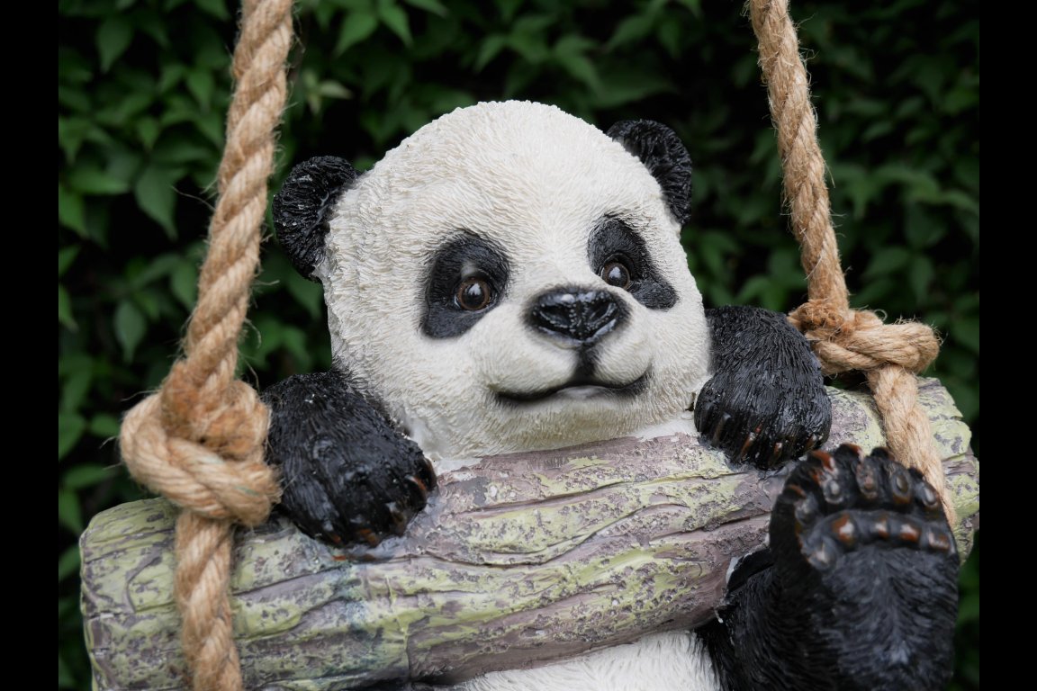 Hanging Panda