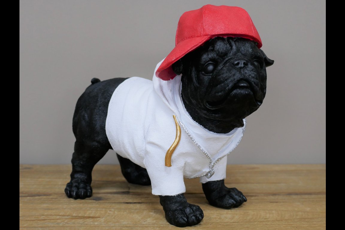 Dog With Cap