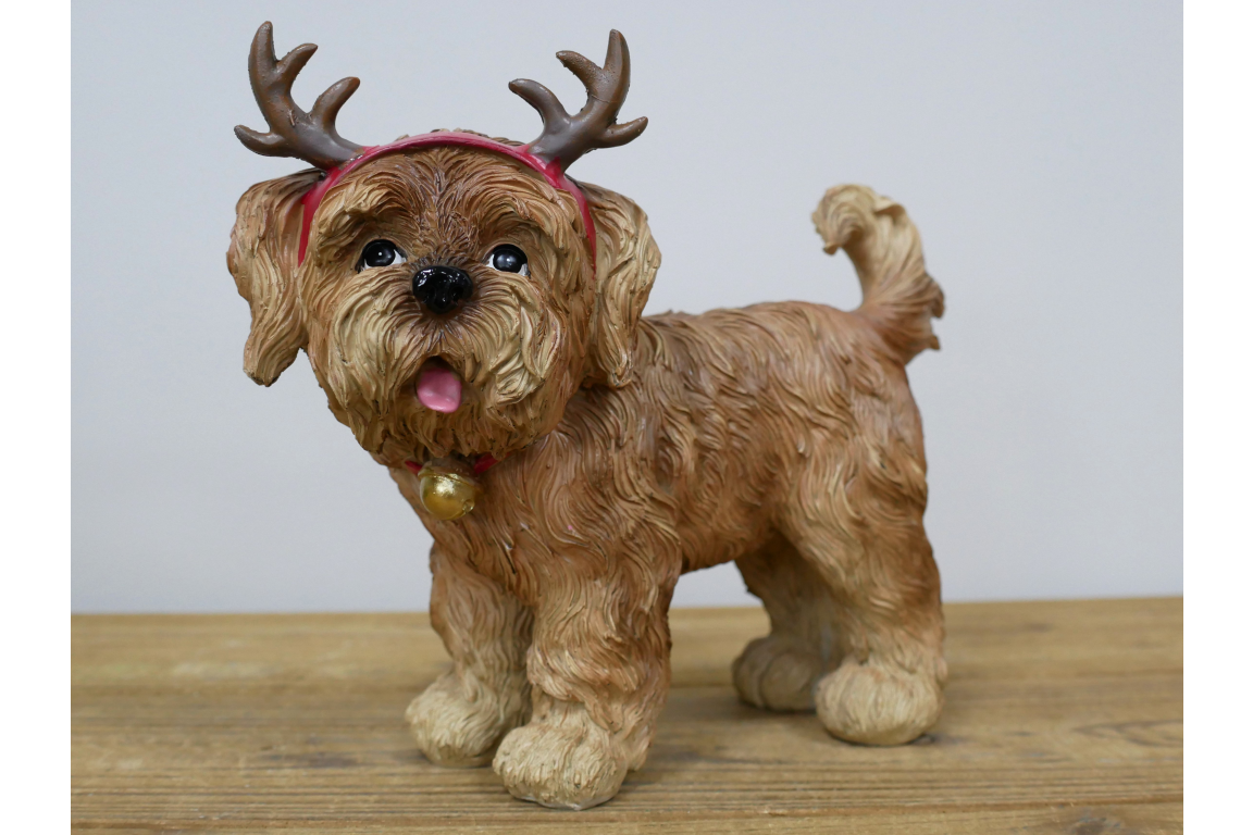 Dog With Antler Ears