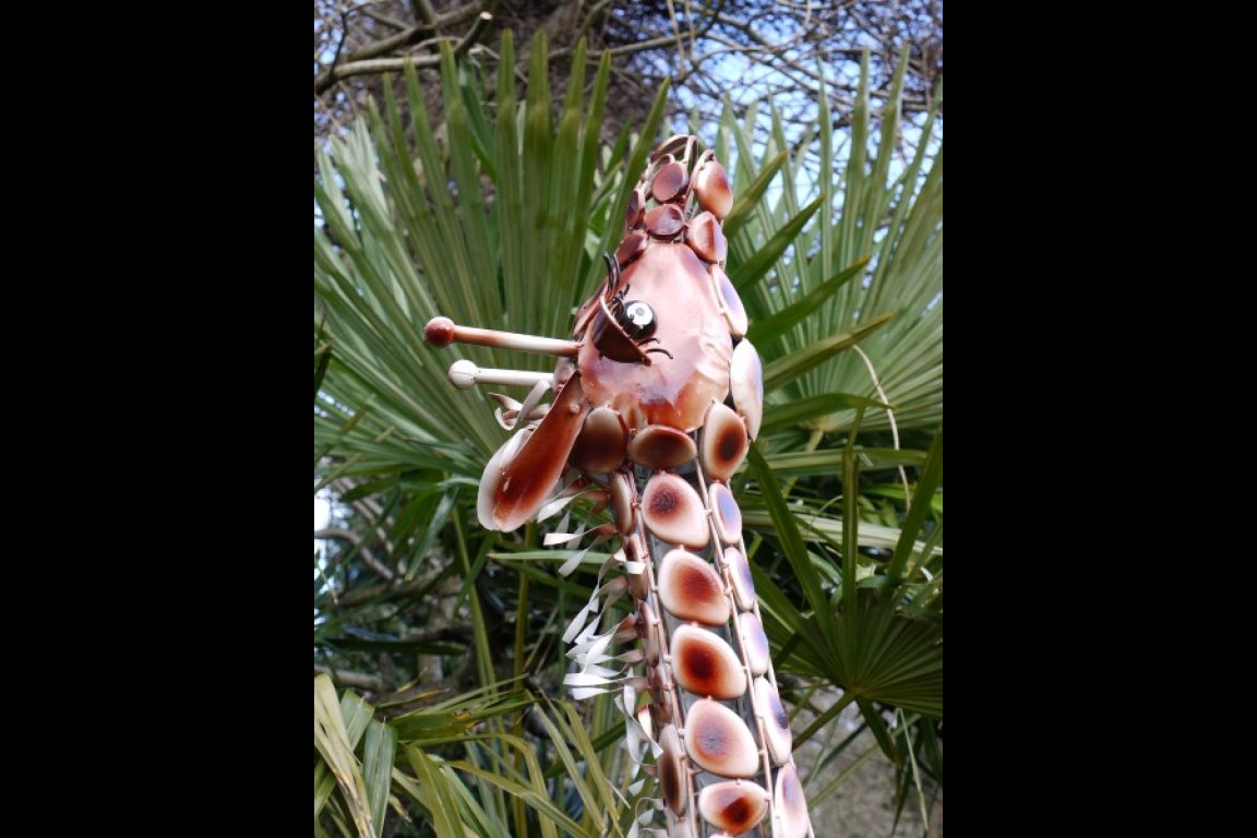 Giraffe Small