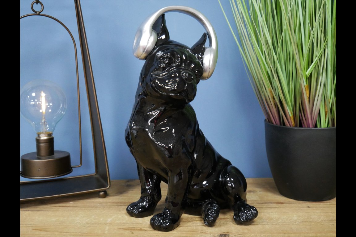 Dog With Headphones
