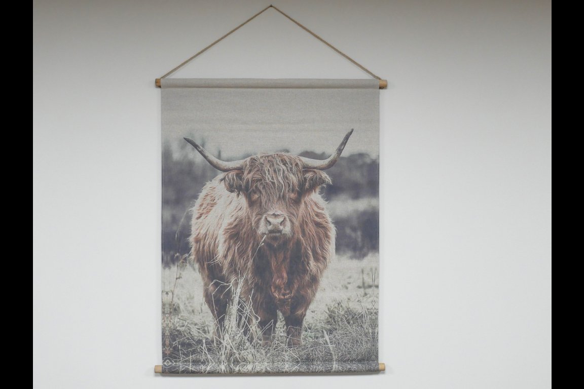Wall Art - Highland Cow