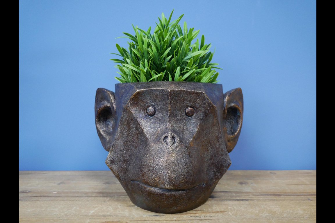 Monkey Head Planter