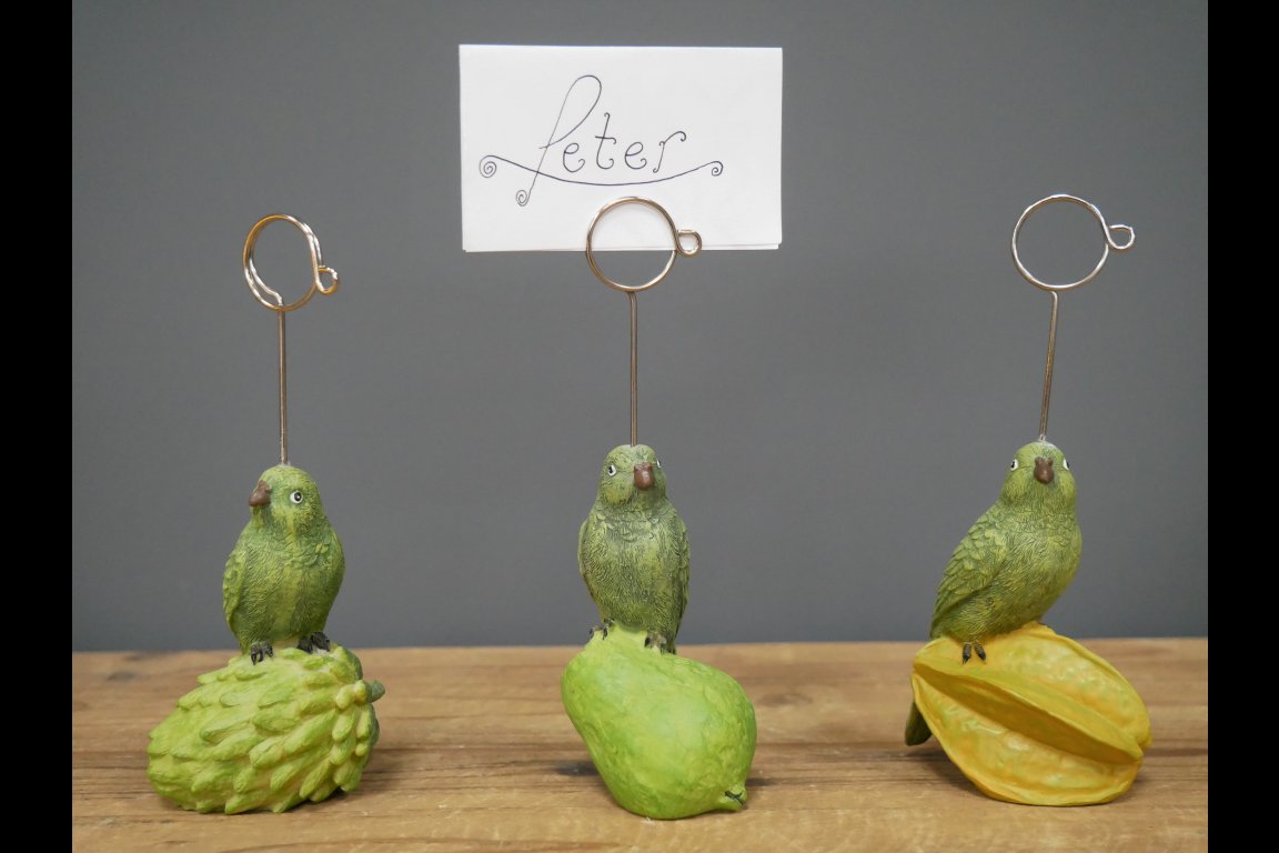 Parrot Place Card Holders