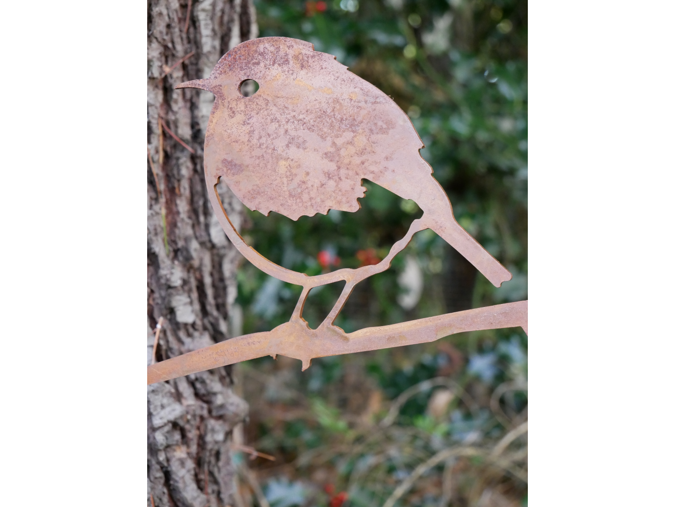 Bird Spike