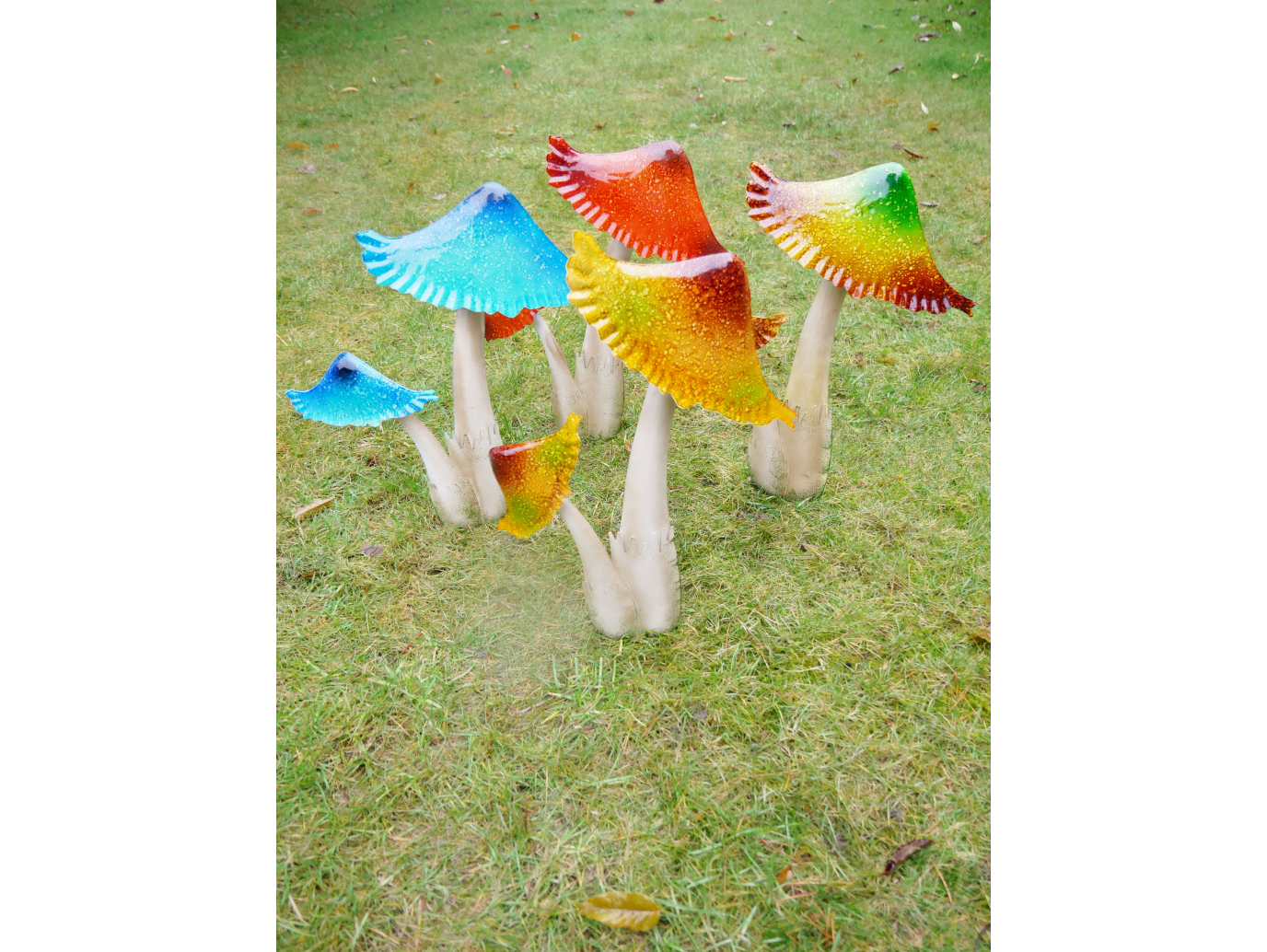 Mushrooms