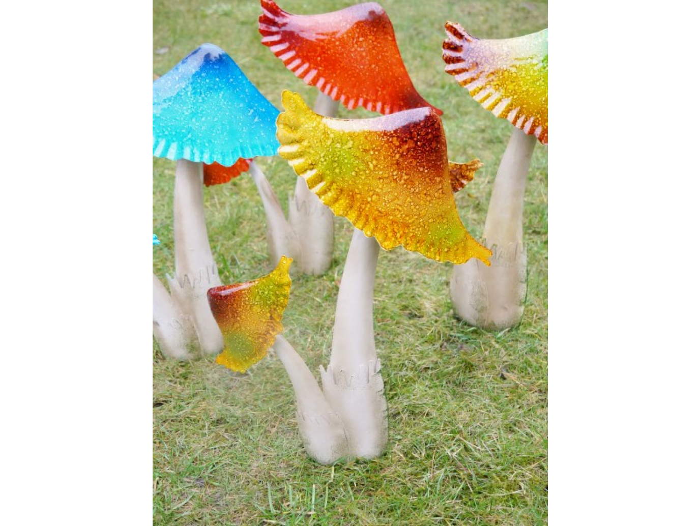 Mushrooms
