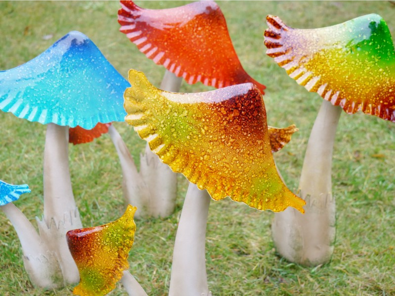 Mushrooms