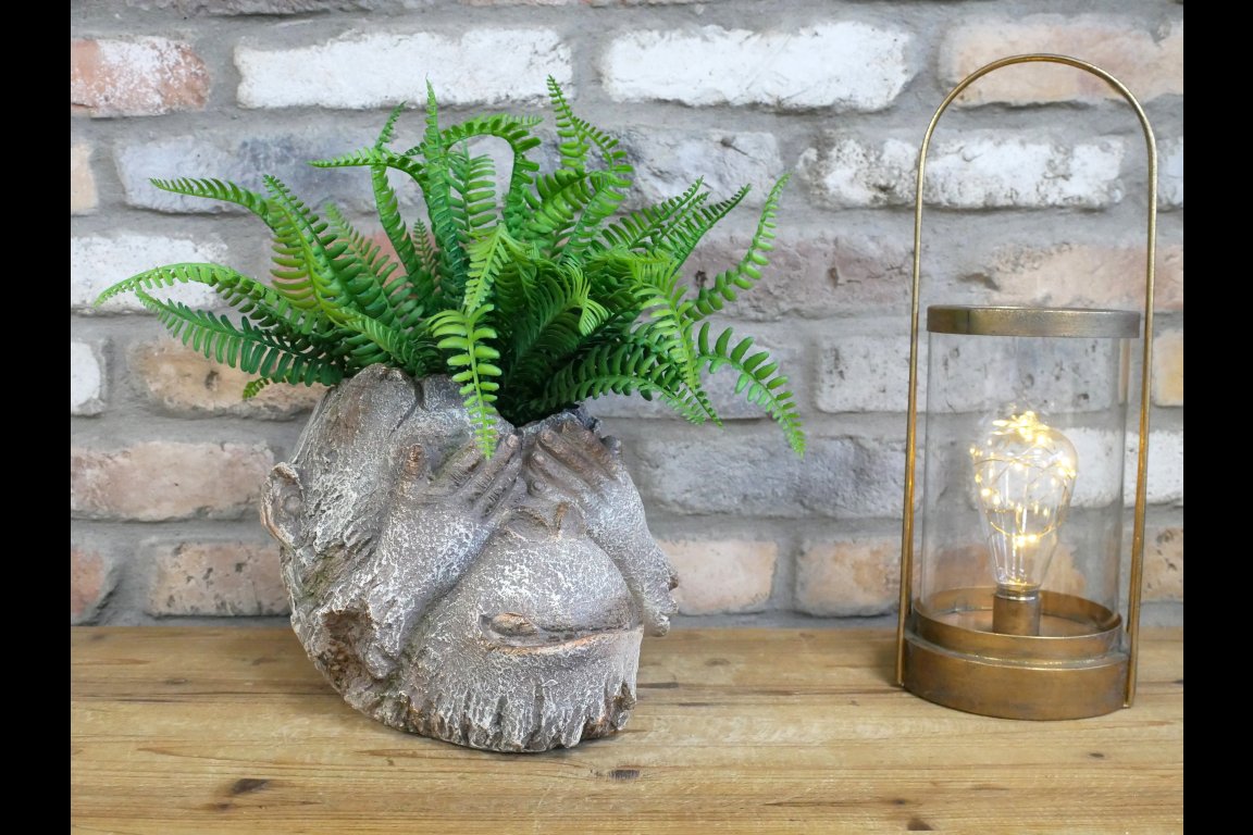 Monkey Head Planter