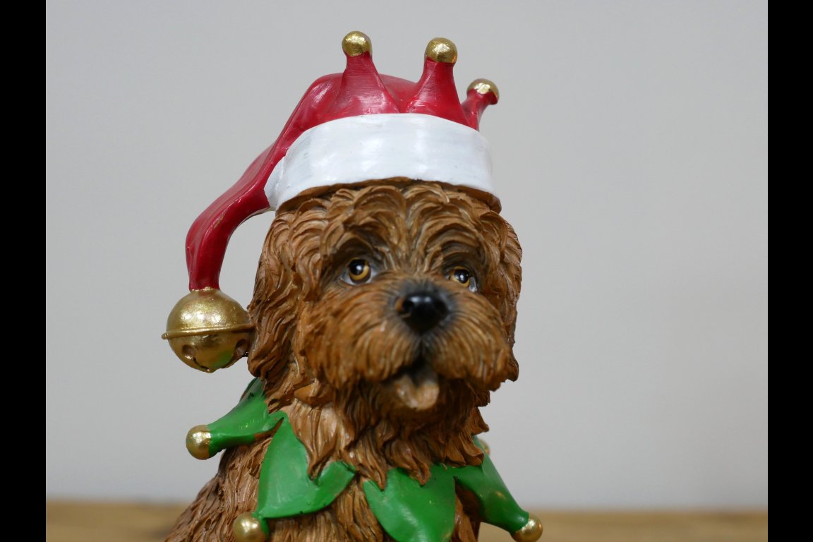 Dog With Christmas Hat